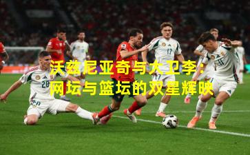 沃兹尼亚奇与大卫李：网坛与篮坛的双星辉映