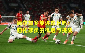 德尔加多能进国足吗：归化球员的机遇与挑战