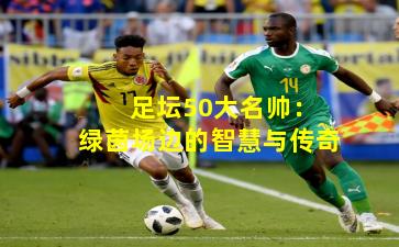  足坛50大名帅：绿茵场边的智慧与传奇