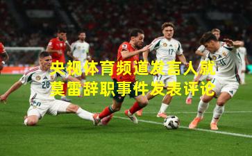 央视体育频道发言人就莫雷辞职事件发表评论