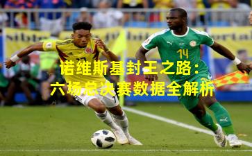 诺维斯基封王之路：六场总决赛数据全解析