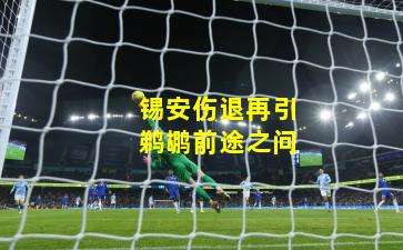 锡安伤退再引鹈鹕前途之问