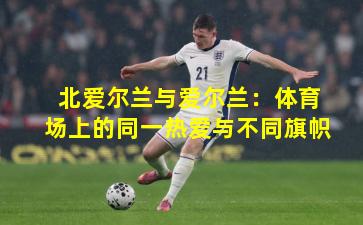 北爱尔兰与爱尔兰：体育场上的同一热爱与不同旗帜