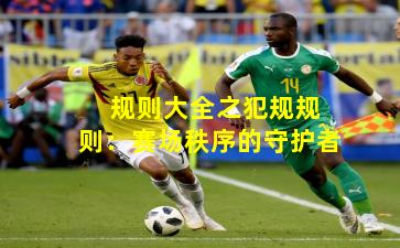  规则大全之犯规规则：赛场秩序的守护者